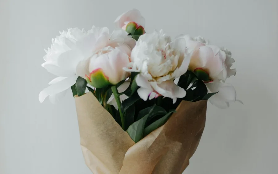 A peony bouquet wrapped in kraft paper, hand-carried upright for florist delivery